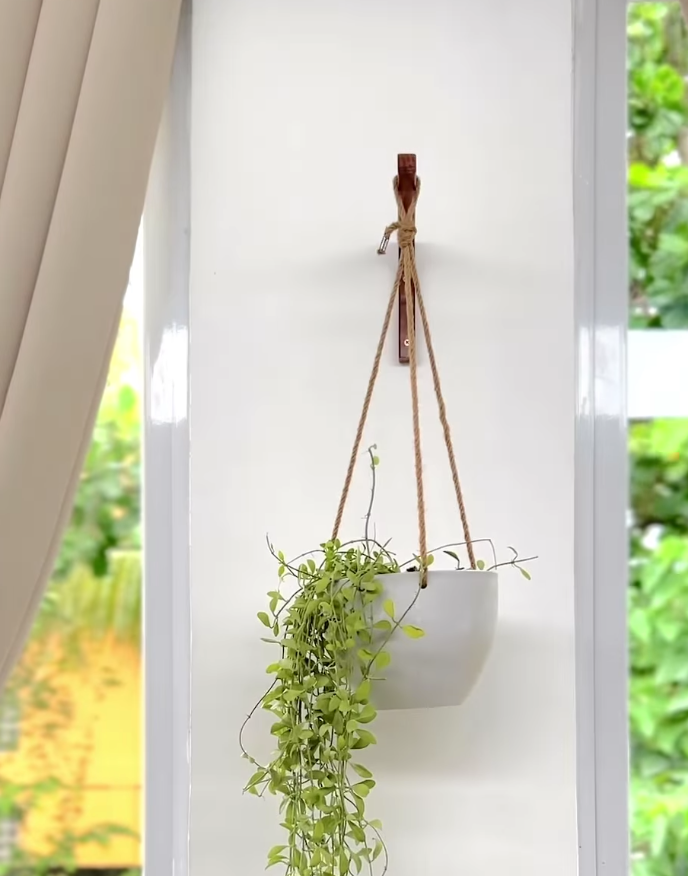 ikea plant pots hanging Walnut Plant Wall Hanger – Saint Seneca