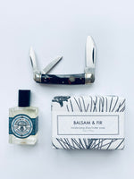 Shelldon Pocket Knife