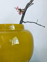 Solis Vase