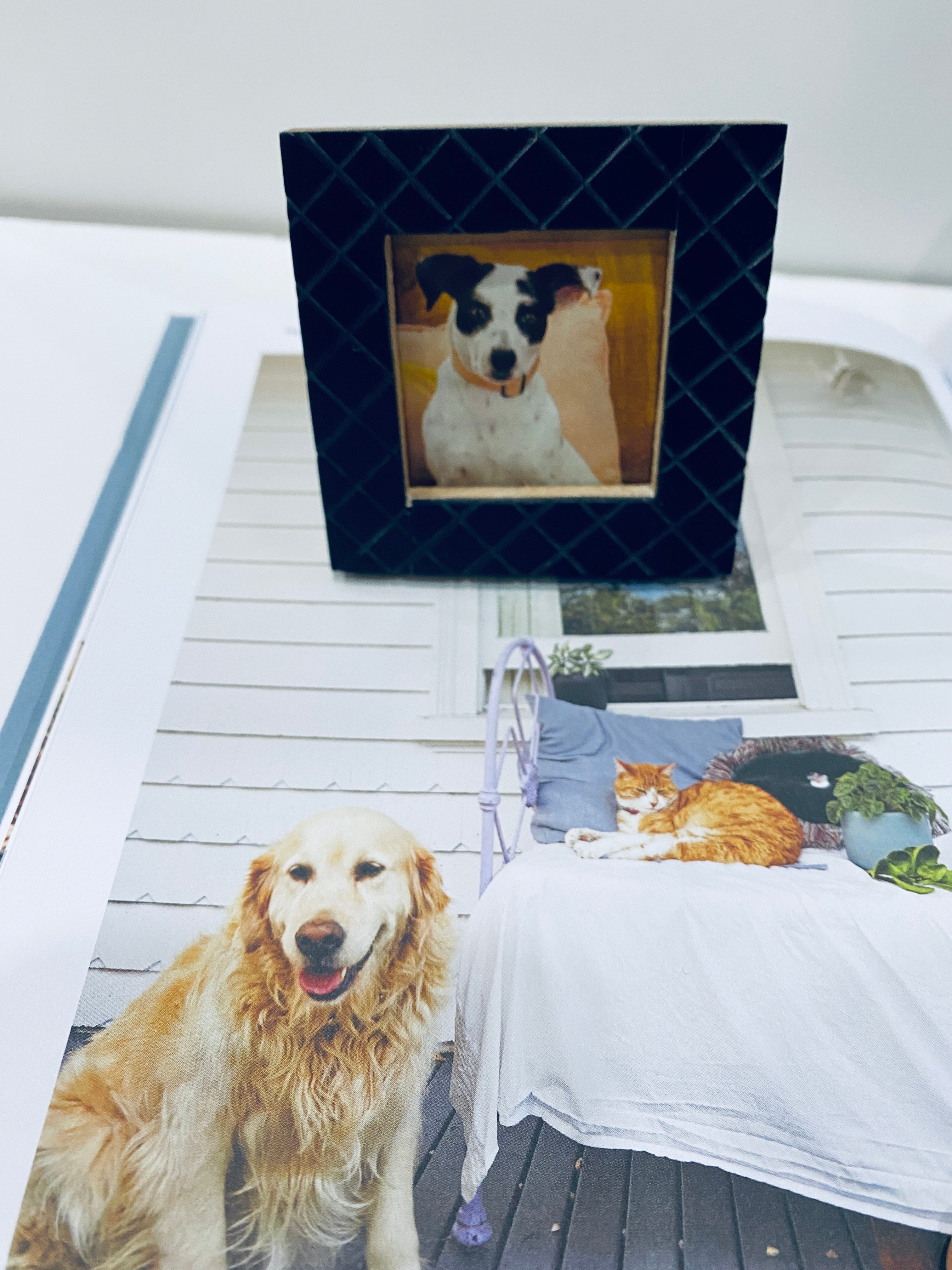 Little Family Picture Frames