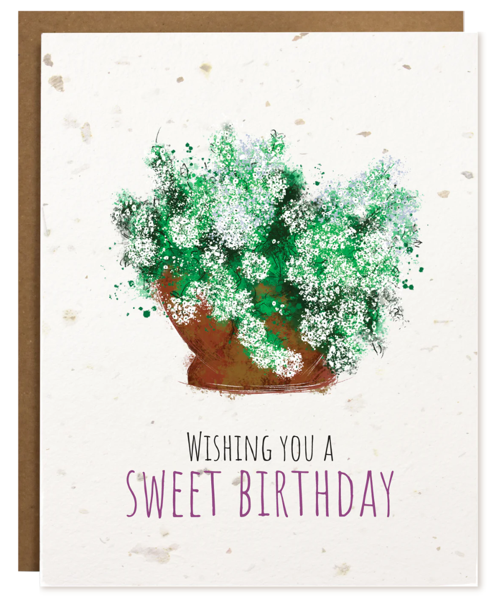 PLANTABLE CARD: Wishing You A Sweet Birthday