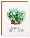 PLANTABLE CARD: Wishing You A Sweet Birthday
