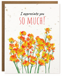 PLANTABLE CARD: I Appreciate You So Much