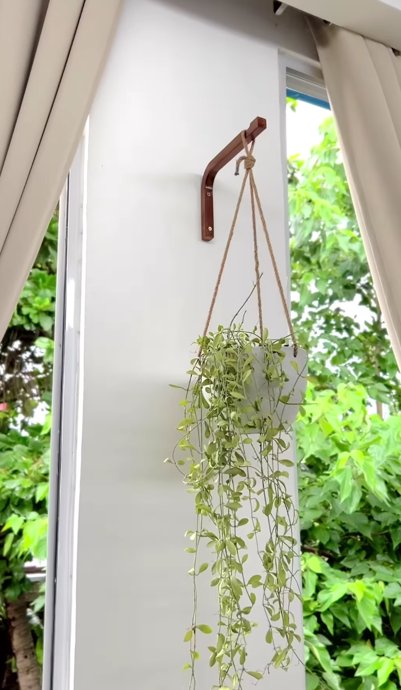 wall hanger for plants Walnut Plant Wall Hanger – Saint Seneca