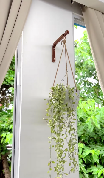 plant balcony hanger Walnut Plant Wall Hanger – Saint Seneca