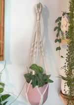 Plant Hanging Kit