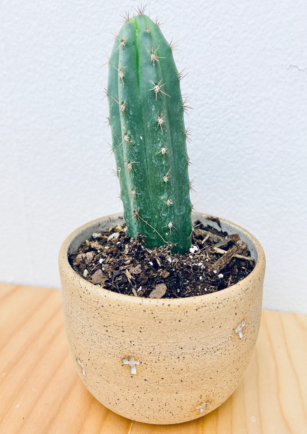 Speckled Santa Fe Cactus Tumbler With Cactus