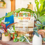 IvyMay & Co. - Redwoods Houseplant & Aroid Potting Mix