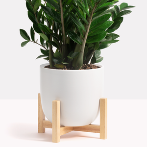 Basic Wood Plant Stand