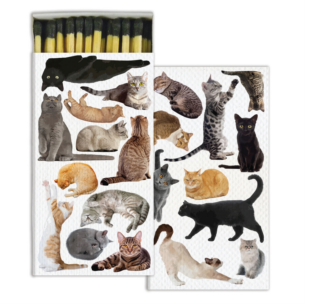 For The Love of Cats Matches