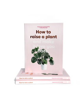 How To Raise a Plant