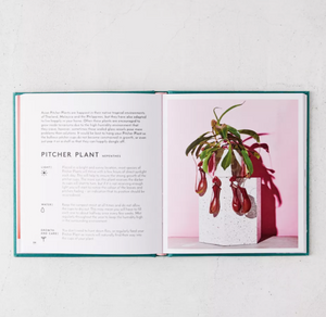 Little Book of House Plants