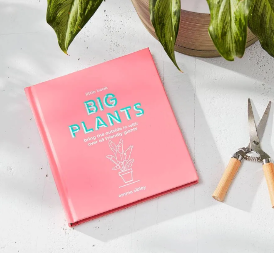 little book of house plants Little Book, Big Plants – Saint Seneca