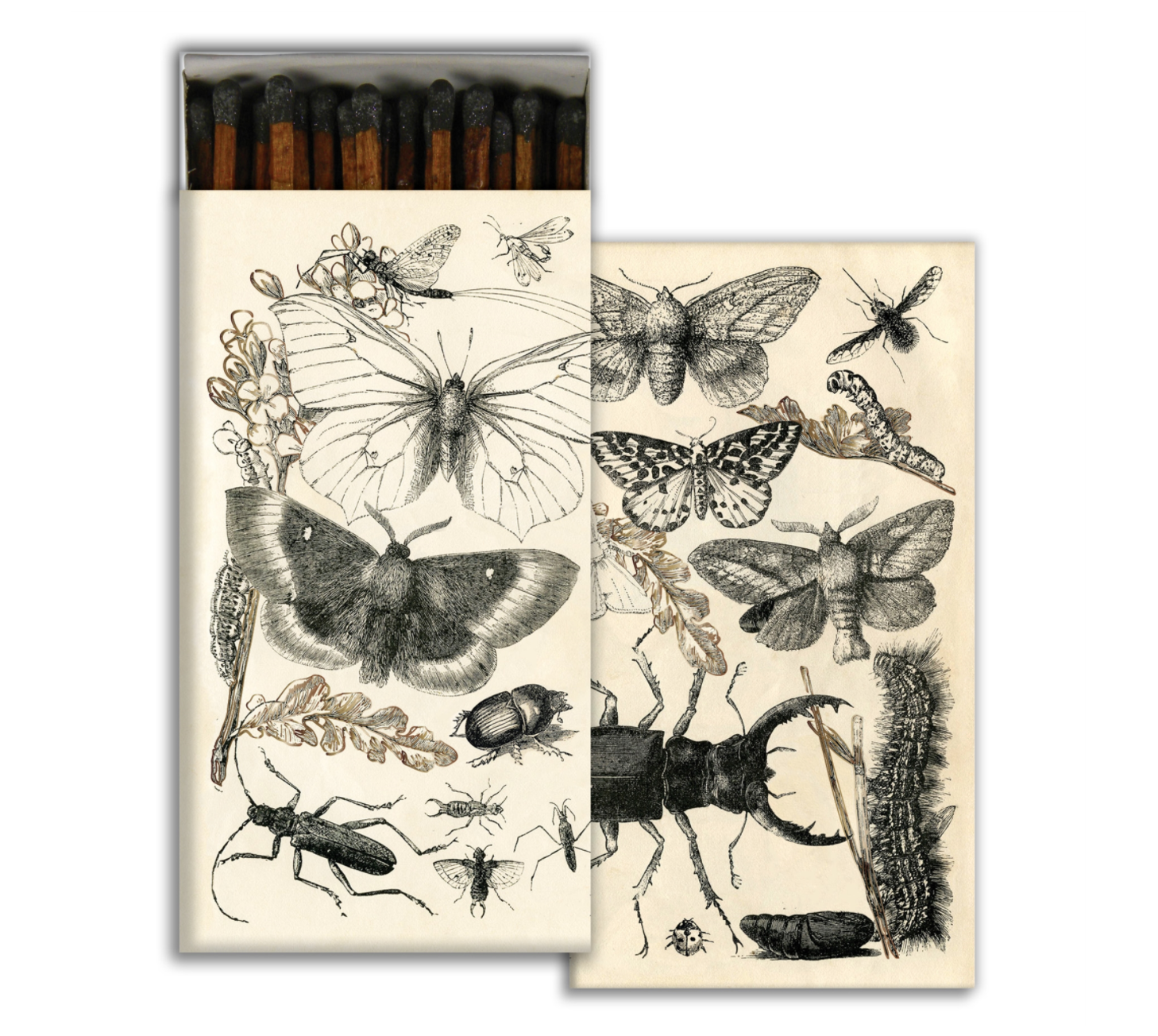 Insect Matches