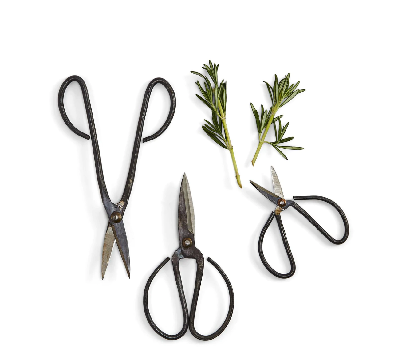 Garden Scissors Set