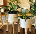 Alabaster Planter and Plant Stand