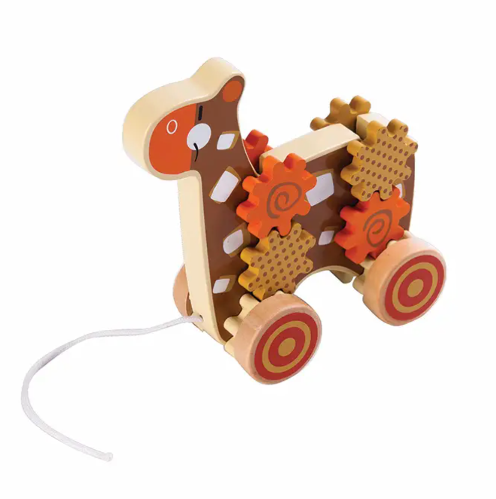 Wooden Animal Pull Toys