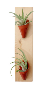 Double Terra Cotta Airplant Holder on Base