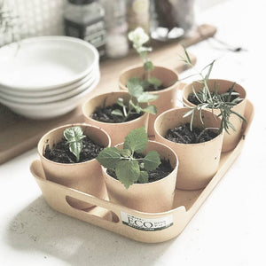 Planter Herb Pot with Tray Set of 6