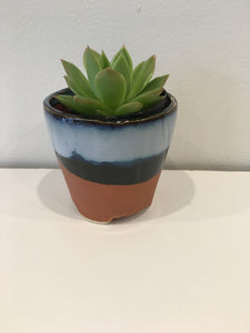 Small Terracotta  Blue Planter