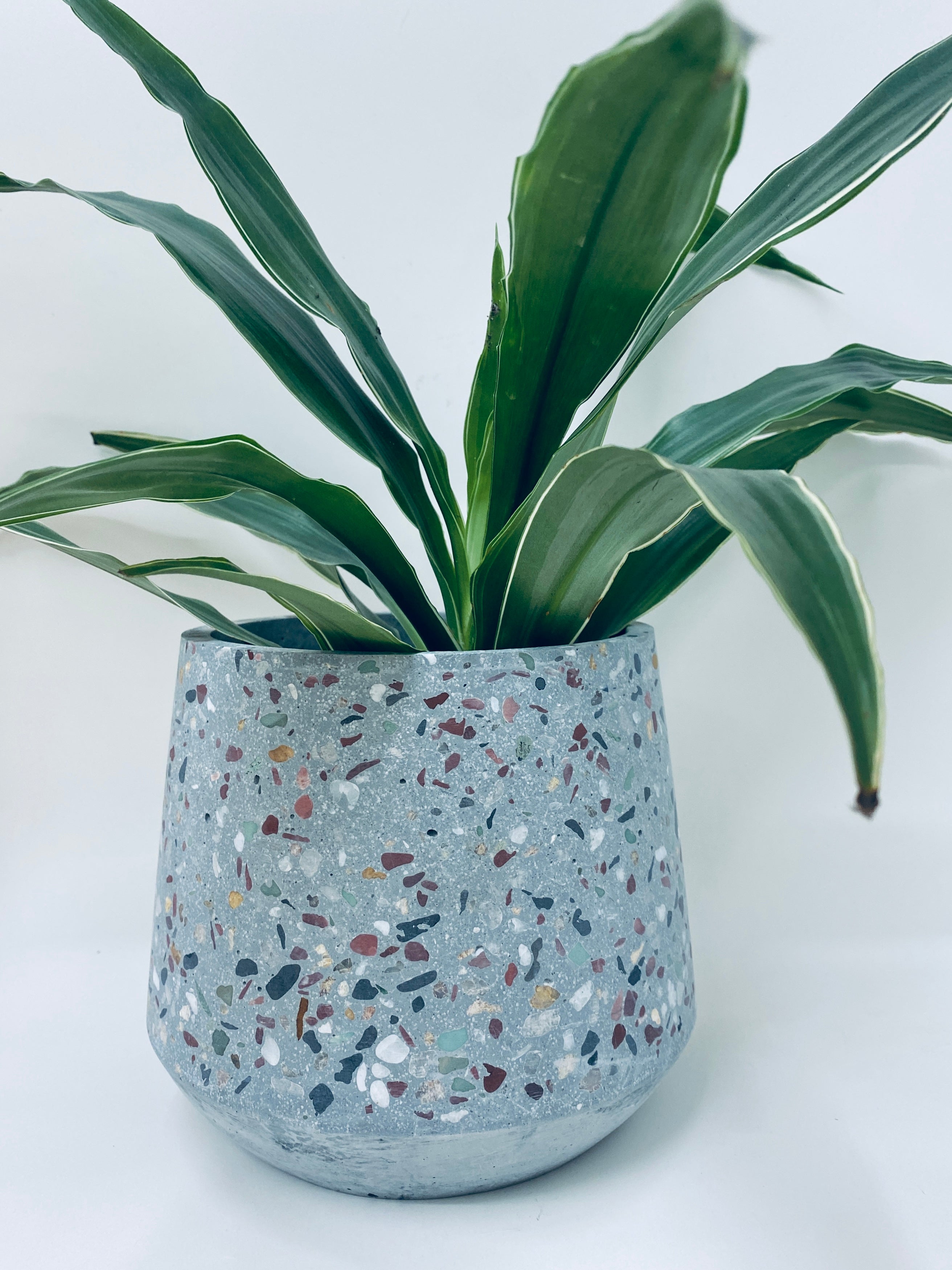 Wesley Concrete Terrazzo Planters