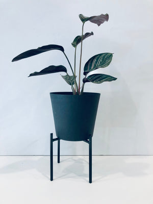 Maverick Metal Planter & Stand